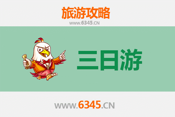 新北中和春节三日游攻略：都会风情与年味交织的深度之旅